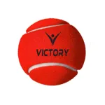 TT Ball, Bat & Cover Combo at ₹132 | Amazon Deal TT Ball, Bat & Cover Combo at ₹132 | Amazon Deal