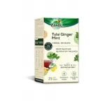 Zandu Tulsi Ginger Mint Herbal Tea (25 Tea Bags) for Rs. 126 Zandu Tulsi Ginger Mint Herbal Tea (25 Tea Bags) for Rs. 126