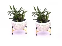 Solimo Tripod Stand Set of 2 at Rs 257 – Amazon Solimo Tripod Stand Set of 2 at Rs 257 – Amazon