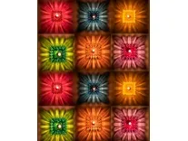 Indian Karigar 12pcs Diwali Diyas Rs. 189 Indian Karigar 12pcs Diwali Diyas Rs. 189