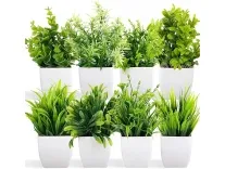 Dekorly Artificial Potted Plants 8 Pack Rs 258 – Amazon Dekorly Artificial Potted Plants 8 Pack Rs 258 – Amazon