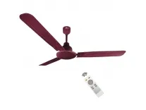 RR Signature 1200mm Morpheus BLDC Fan with Remote (Brown) for Rs. 1999 RR Signature 1200mm Morpheus BLDC Fan with Remote (Brown) for Rs. 1999