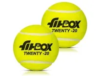 FitBox Sports Twenty20 Ball Pack of 2 for Rs. 121 FitBox Sports Twenty20 Ball Pack of 2 for Rs. 121