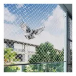 BENAVJI Bird Net for Balconies, Pigeon & Monkey Heavy Duty UV Stabilized Mesh with Installation Kit at ₹199 | Amazon Deal BENAVJI Bird Net for Balconies, Pigeon & Monkey Heavy Duty UV Stabilized Mesh with Installation Kit at ₹199 | Amazon Deal