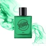 CFS Intruder Green 100ml Perfume Rs 299 CFS Intruder Green 100ml Perfume Rs 299