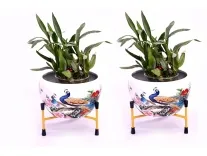 Solimo Tripod Stand Peacock Design Set of 2 at Rs. 252 Solimo Tripod Stand Peacock Design Set of 2 at Rs. 252