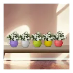 TrustBasket Adam Self Watering Pot (Set of 5) at ₹134 | Amazon Deal TrustBasket Adam Self Watering Pot (Set of 5) at ₹134 | Amazon Deal