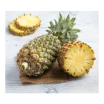 Pineapple at ₹65 | Zepto Deal Pineapple at ₹65 | Zepto Deal