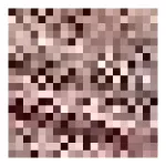 KETCH Polyester Blend Women’s Casual Fit Dress Standard Length at ₹217 | Amazon Deal KETCH Polyester Blend Women’s Casual Fit Dress Standard Length at ₹217 | Amazon Deal