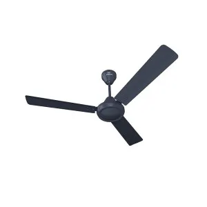 Bajaj Robusta Plus 1200MM Marathon Blue Ceiling Fan Deal Bajaj Robusta Plus 1200MM Marathon Blue Ceiling Fan Deal