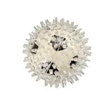 PremiumAV Large Spike Ball Dog Toy for Aggressive Chewers at ₹88 | Amazon Deal PremiumAV Large Spike Ball Dog Toy for Aggressive Chewers at ₹88 | Amazon Deal