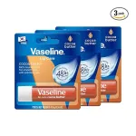 Vaseline Lip Care Aloe Vera Lip Balm Stick at ₹333 | Amazon Deal Vaseline Lip Care Aloe Vera Lip Balm Stick at ₹333 | Amazon Deal