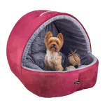 Amazon Basics Memory Foam Premium Small Dog and Cat Cave Pet Bed (Small) at ₹581 | Amazon Deal Amazon Basics Memory Foam Premium Small Dog and Cat Cave Pet Bed (Small) at ₹581 | Amazon Deal