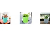 Plant Containers from Rs. 42 at Flipkart Plant Containers from Rs. 42 at Flipkart