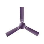 RR Signature Triana 1200MM 2 Star BEE Certified Energy Efficient 50-Watt High-Speed Ceiling Fan at ₹1699 | Amazon Deal RR Signature Triana 1200MM 2 Star BEE Certified Energy Efficient 50-Watt High-Speed Ceiling Fan at ₹1699 | Amazon Deal