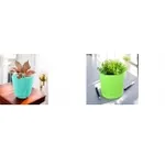 Plant Containers from Rs. 42 at Flipkart Plant Containers from Rs. 42 at Flipkart