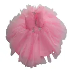 Sleeveless Netted Designer Dress with Neck Flower Pattern & White Stones Sleeveless Netted Designer Dress with Neck Flower Pattern & White Stones