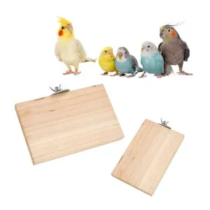 Sage Square Wooden Perch Stand Combo of Two for Birds at ₹1 | Amazon Deal Sage Square Wooden Perch Stand Combo of Two for Birds at ₹1 | Amazon Deal
