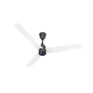 Polycab Wizzy Plus LED BLDC Ceiling Fan – BEE 5 Star, Free Install, 3 Yr Warranty Polycab Wizzy Plus LED BLDC Ceiling Fan – BEE 5 Star, Free Install, 3 Yr Warranty