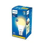 Philips Base B22 9-Watt LED Bulb (Golden Yellow) at ₹59 | Amazon Deal Philips Base B22 9-Watt LED Bulb (Golden Yellow) at ₹59 | Amazon Deal
