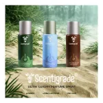 Scentigrade 25,15,55 Degree Unisex Luxury Perfume Body Spray Long Lasting No Gas (Pack of 3) at ₹249 | Flipkart Deal Scentigrade 25,15,55 Degree Unisex Luxury Perfume Body Spray Long Lasting No Gas (Pack of 3) at ₹249 | Flipkart Deal
