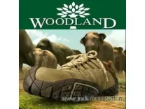 Woodland Shoes, Slippers & Sandals: 50-67% off from Rs.250 @ Amazon Woodland Shoes, Slippers & Sandals: 50-67% off from Rs.250 @ Amazon
