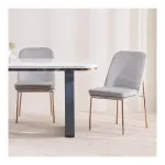 Home Centre Terraroza Metal 2 Dining Chairs at ₹1999 | Amazon Deal Home Centre Terraroza Metal 2 Dining Chairs at ₹1999 | Amazon Deal