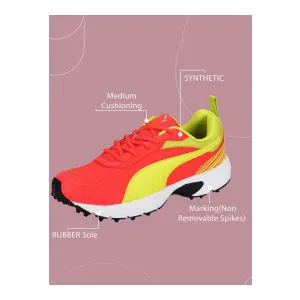 PUMA Cricket Active Shoes For Men at ₹1260 | Flipkart Deal PUMA Cricket Active Shoes For Men at ₹1260 | Flipkart Deal