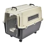 Amazon Basics Heavy Duty IATA Approved Medium Pet Airline Carrier at ₹2436 | Amazon Deal Amazon Basics Heavy Duty IATA Approved Medium Pet Airline Carrier at ₹2436 | Amazon Deal