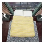 Flipkart Striped Queen Comforter – Microfiber Yellow and White Flipkart Striped Queen Comforter – Microfiber Yellow and White