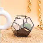 Metallic Black Terrarium Pot Hexagonal Prism Shape for Succulents – Rs. 107 Metallic Black Terrarium Pot Hexagonal Prism Shape for Succulents – Rs. 107