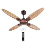 Activa Lotus 1200mm Ceiling Fan (Rose Wood) – ₹3299 Activa Lotus 1200mm Ceiling Fan (Rose Wood) – ₹3299