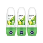Rexona Aloe Vera Roll-On Deodorant for Women (Pack of 3) at ₹153 | Amazon Deal Rexona Aloe Vera Roll-On Deodorant for Women (Pack of 3) at ₹153 | Amazon Deal