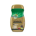 Zandu Shilajitprash – Chyawanprash & Shilajit – Strength, Stamina & Immunity – 450g Zandu Shilajitprash – Chyawanprash & Shilajit – Strength, Stamina & Immunity – 450g