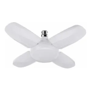 Nightstar 25 W Basic Round B22 LED Bulb (White) Nightstar 25 W Basic Round B22 LED Bulb (White)