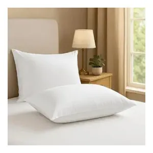 Premium Soft Fluffy Microfiber Pillows (Set of 2) at ₹299 | Amazon Deal Premium Soft Fluffy Microfiber Pillows (Set of 2) at ₹299 | Amazon Deal