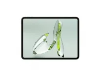 OnePlus Pad Go (8GB RAM, 128GB) – Rs. 14499 Amazon Deal OnePlus Pad Go (8GB RAM, 128GB) – Rs. 14499 Amazon Deal