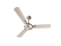 Havells Festiva 1200mm Ceiling Fan (Gold Mist) – Rs. 1640 Havells Festiva 1200mm Ceiling Fan (Gold Mist) – Rs. 1640