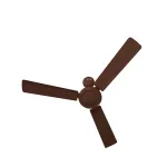 Bajaj Robusta Plus 1200MM Ceiling Fan at ₹1832 | Amazon Deal Bajaj Robusta Plus 1200MM Ceiling Fan at ₹1832 | Amazon Deal