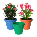 Kuber Industries Solid Plastic Flower Pot Gamla (Pack of 3) at ₹75 | Amazon Deal Kuber Industries Solid Plastic Flower Pot Gamla (Pack of 3) at ₹75 | Amazon Deal