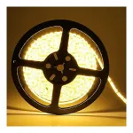 Gesto 5 Meter Waterproof LED Strip Cove Light with Adaptor at ₹325 | Amazon Deal Gesto 5 Meter Waterproof LED Strip Cove Light with Adaptor at ₹325 | Amazon Deal
