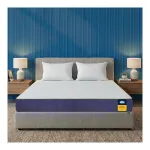 Centuary Sleepables 8-Inch King Orthopedic Memory Foam Mattress at ₹5575 | Amazon Deal Centuary Sleepables 8-Inch King Orthopedic Memory Foam Mattress at ₹5575 | Amazon Deal
