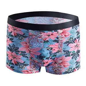 Ice Silk Boxer Briefs 2-Pack Ice Silk Boxer Briefs 2-Pack