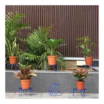 TrustBasket Eclips Plant Stands (Set of 6) for Home Garden & Decor at ₹152 | Amazon Deal TrustBasket Eclips Plant Stands (Set of 6) for Home Garden & Decor at ₹152 | Amazon Deal