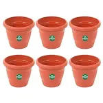 TrustBasket UV Treated Plastic Round Pot 6 Inches Set of 6 – Rs 210 TrustBasket UV Treated Plastic Round Pot 6 Inches Set of 6 – Rs 210