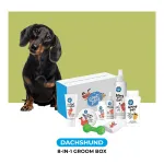 Captain Zack The Dachshund Groom Box – Ultimate 8-in-1 Head-to-Paw Groom-Kit at ₹289 | Flipkart Deal Captain Zack The Dachshund Groom Box – Ultimate 8-in-1 Head-to-Paw Groom-Kit at ₹289 | Flipkart Deal