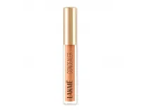 Lakme Powerplay Concealer 30 Cinnamon – Rs 201 Lakme Powerplay Concealer 30 Cinnamon – Rs 201