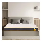 Centuary Mattresses Sleepables 6-Inch King Size Dual Comfort HR Foam Mattress at ₹8695 | Amazon Deal Centuary Mattresses Sleepables 6-Inch King Size Dual Comfort HR Foam Mattress at ₹8695 | Amazon Deal