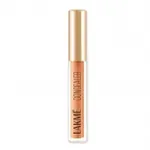 Lakme Powerplay Concealer 30 Cinnamon – Rs 201 Lakme Powerplay Concealer 30 Cinnamon – Rs 201
