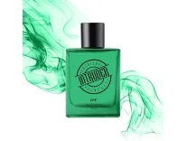 CFS Intruder Green 100ml Perfume Rs 299 CFS Intruder Green 100ml Perfume Rs 299